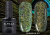 ByFashion.ru - Гель-лак Elpaza Reflective Chameleon 40 светоотражающий хамелеон, 10 мл